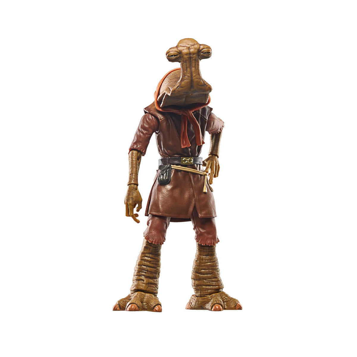 Hasbro Star Wars The Black Series Momaw Nadon 6-inch Star Wars A New Hope Collectible Deluxe Action Figure